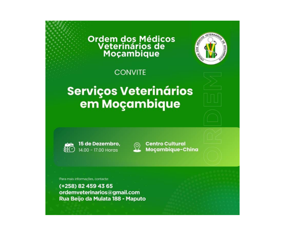 OMVM reforça crescimento e consolidação institucional no período 2024–2025